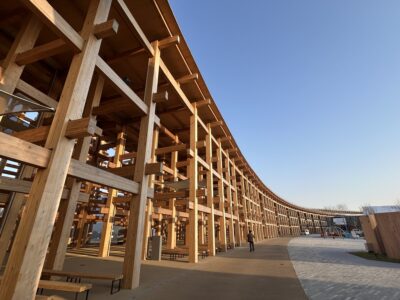 67f8d50ca3104d9fd155a990