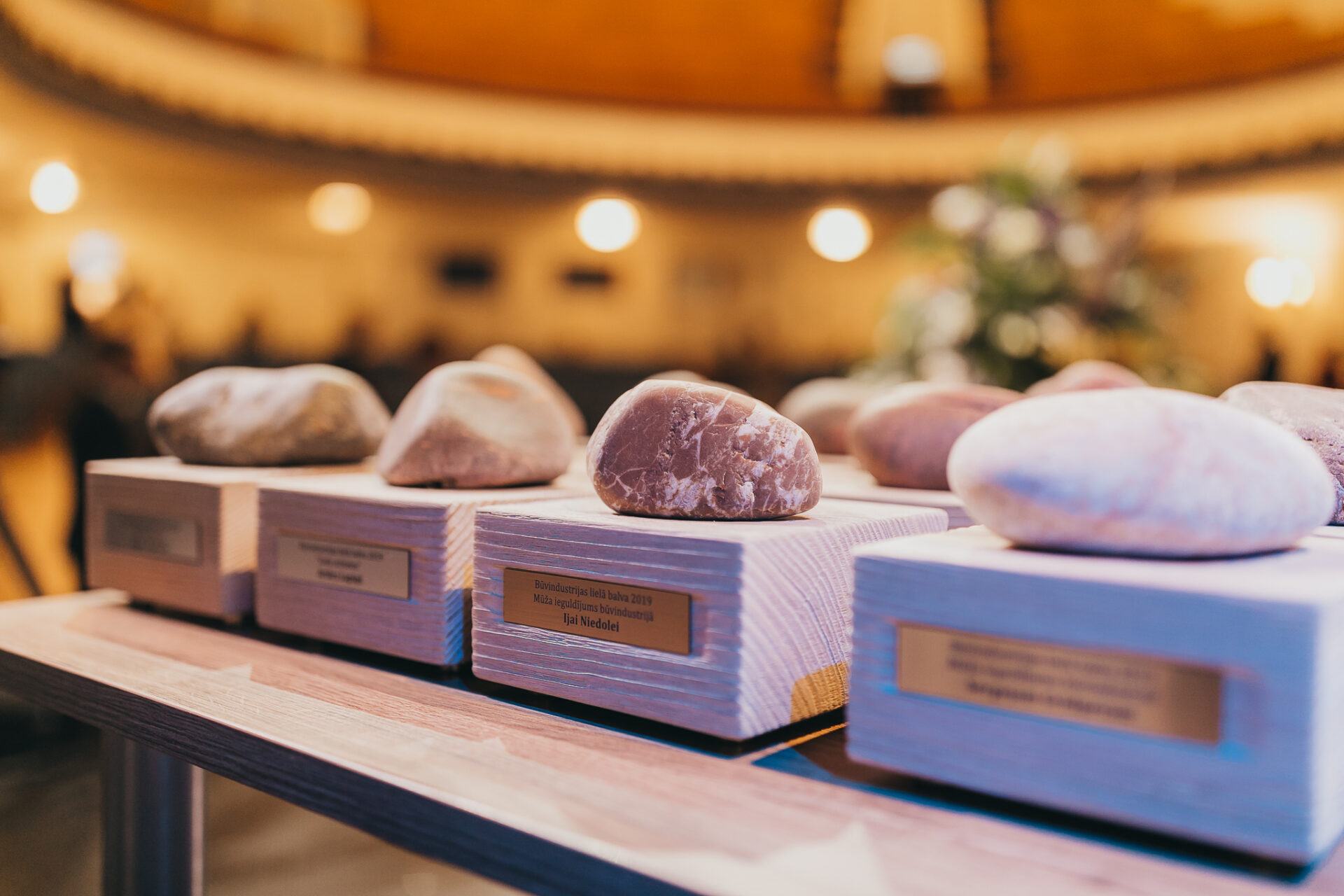 Pateicība par darbu sabiedrības labā