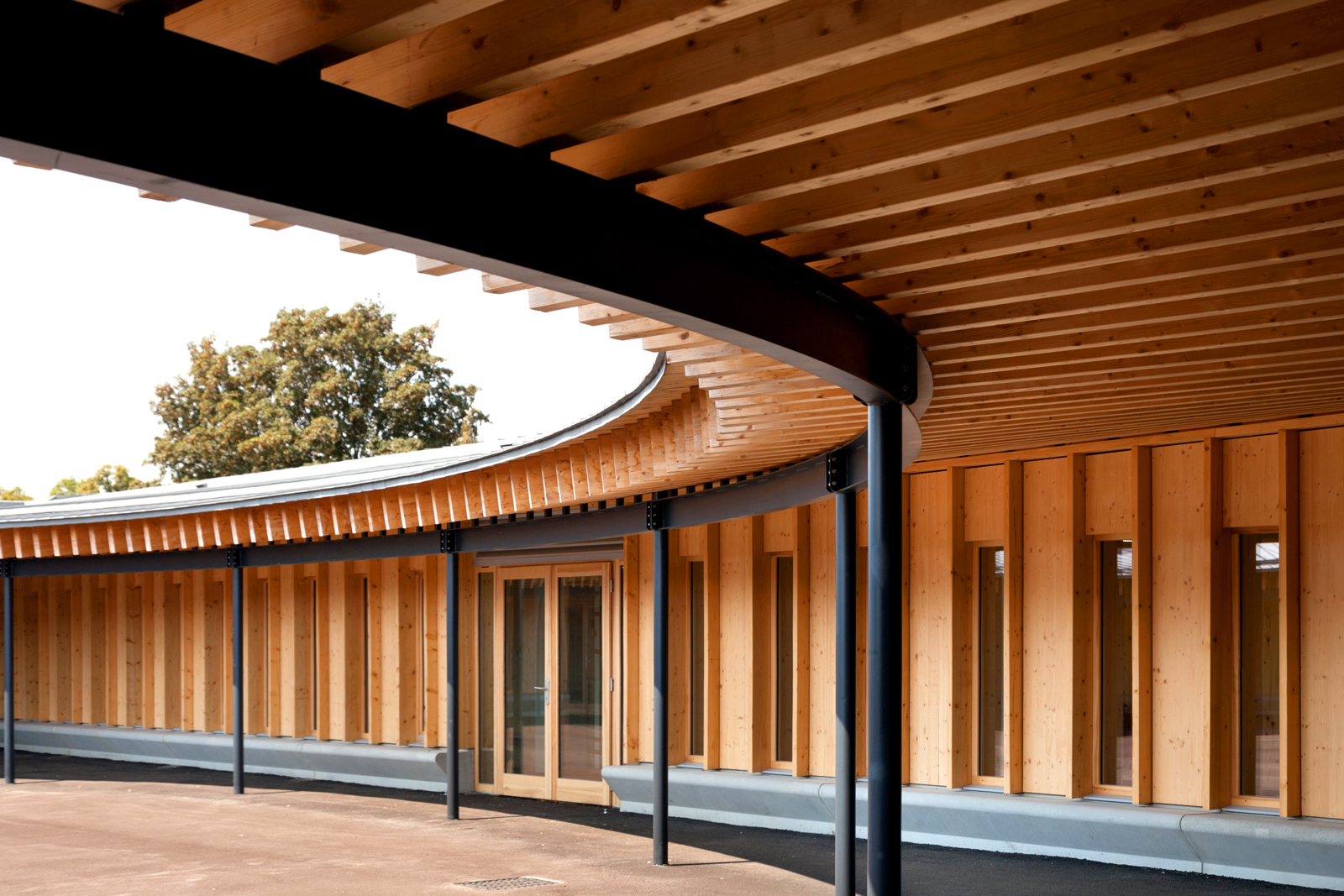 Skola no kalnu eglēm