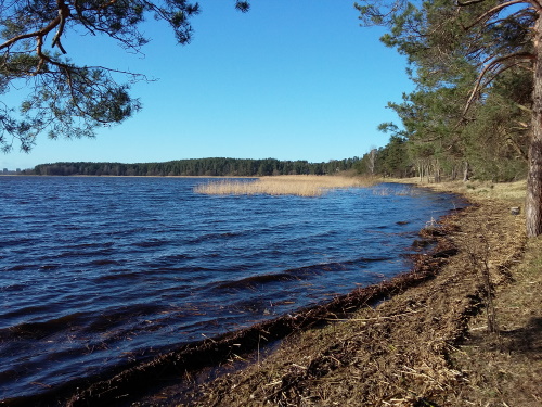 Iedzīvotāji aicināti novērtēt ieceres Rīgas apkaimju labiekārtošanai