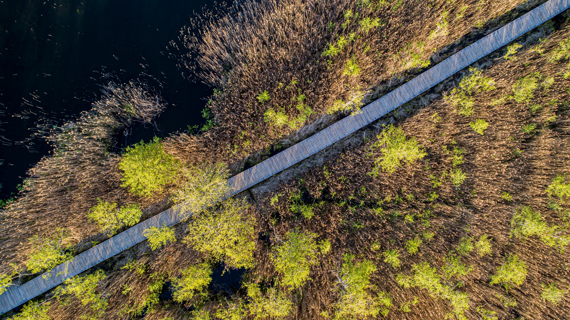 Labiekārtota Būšnieku ezera dabas taka