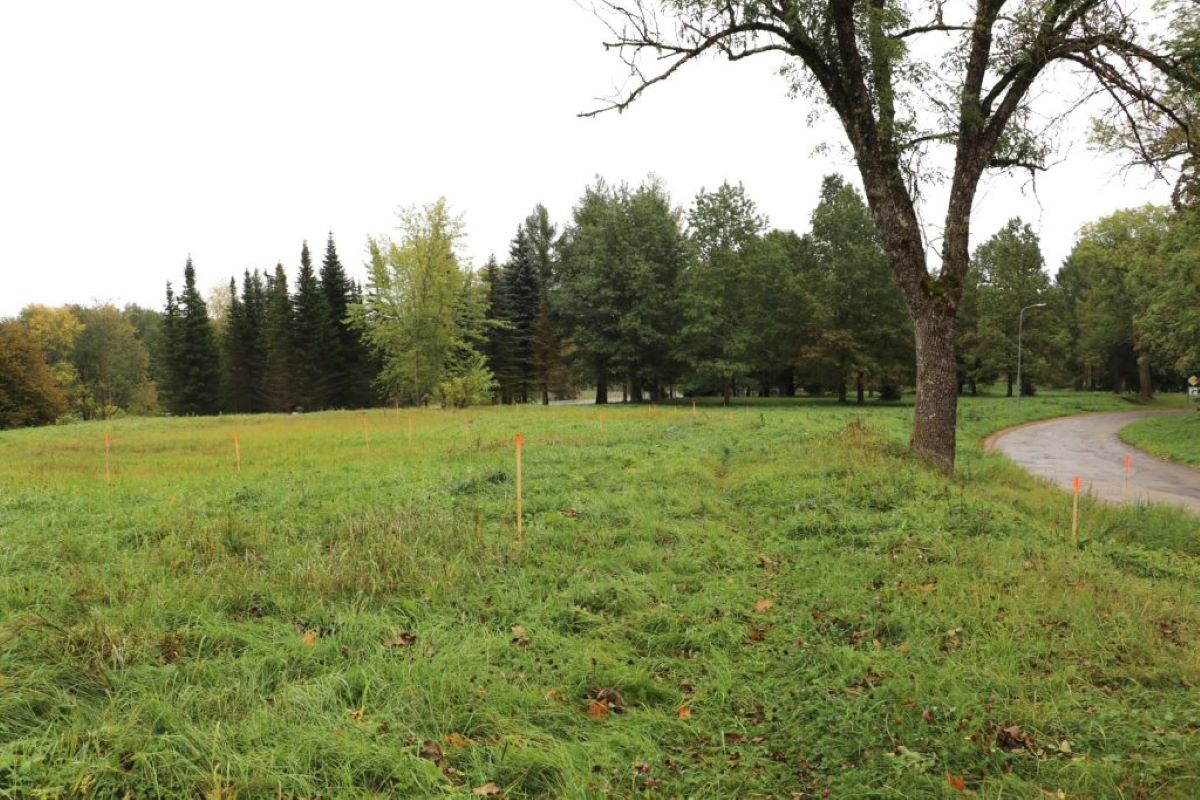 Sāk publiskās infrastruktūras būvniecību Alūksnē un Mālupes pagastā