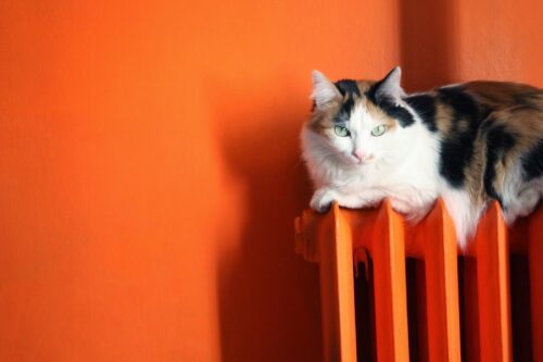 Pieejams atbalsts pilsētu mājsaimniecību siltumapgādes uzlabošanai