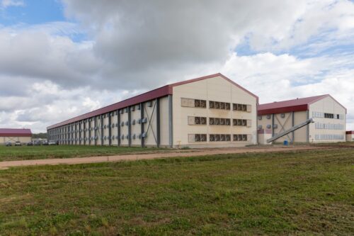 Nav gūts apstiprinājums par ļaunprātīgu dedzināšanu 