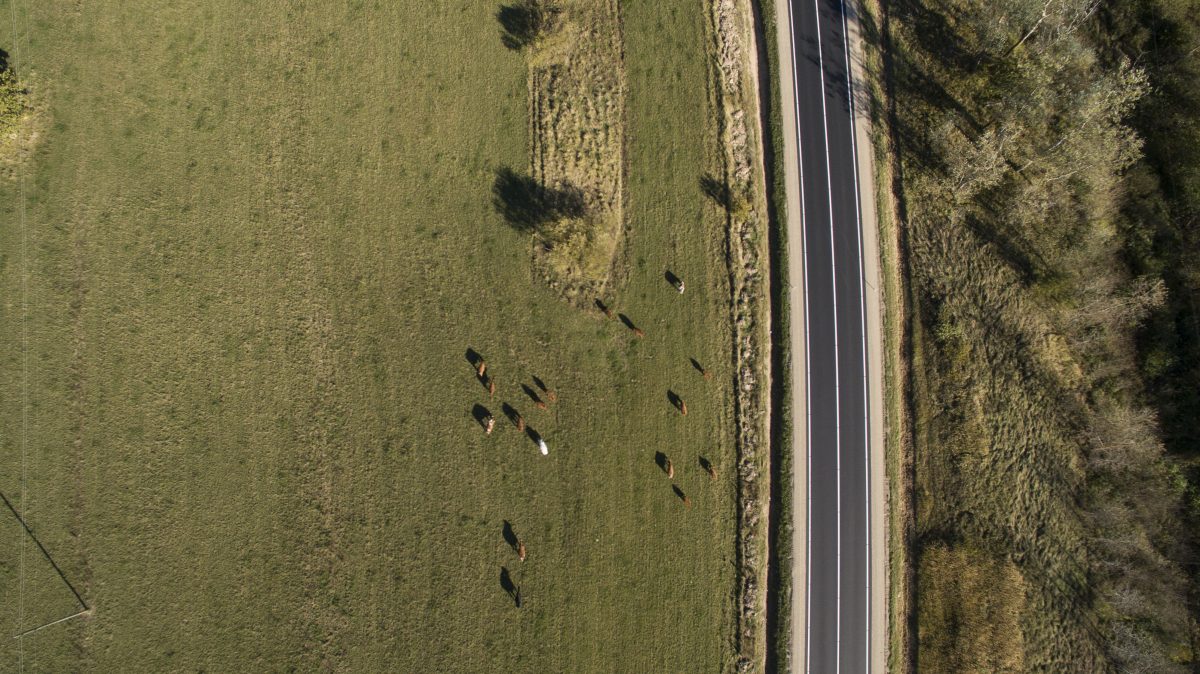 Atjauno segumu uz autoceļa Valmiera–Smiltene
