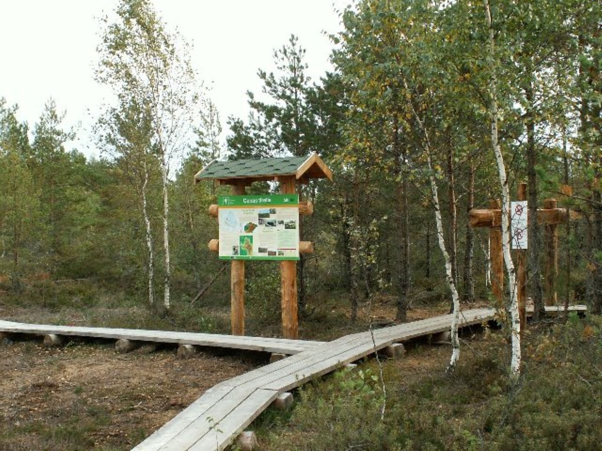 Atjaunos Cenas tīreļa purva laipu, tā uz laiku būs slēgta