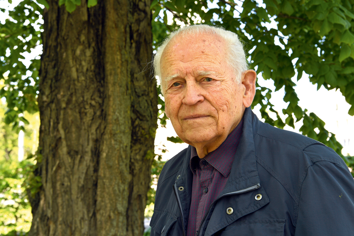 Arhitekts un viņa zelta likumi