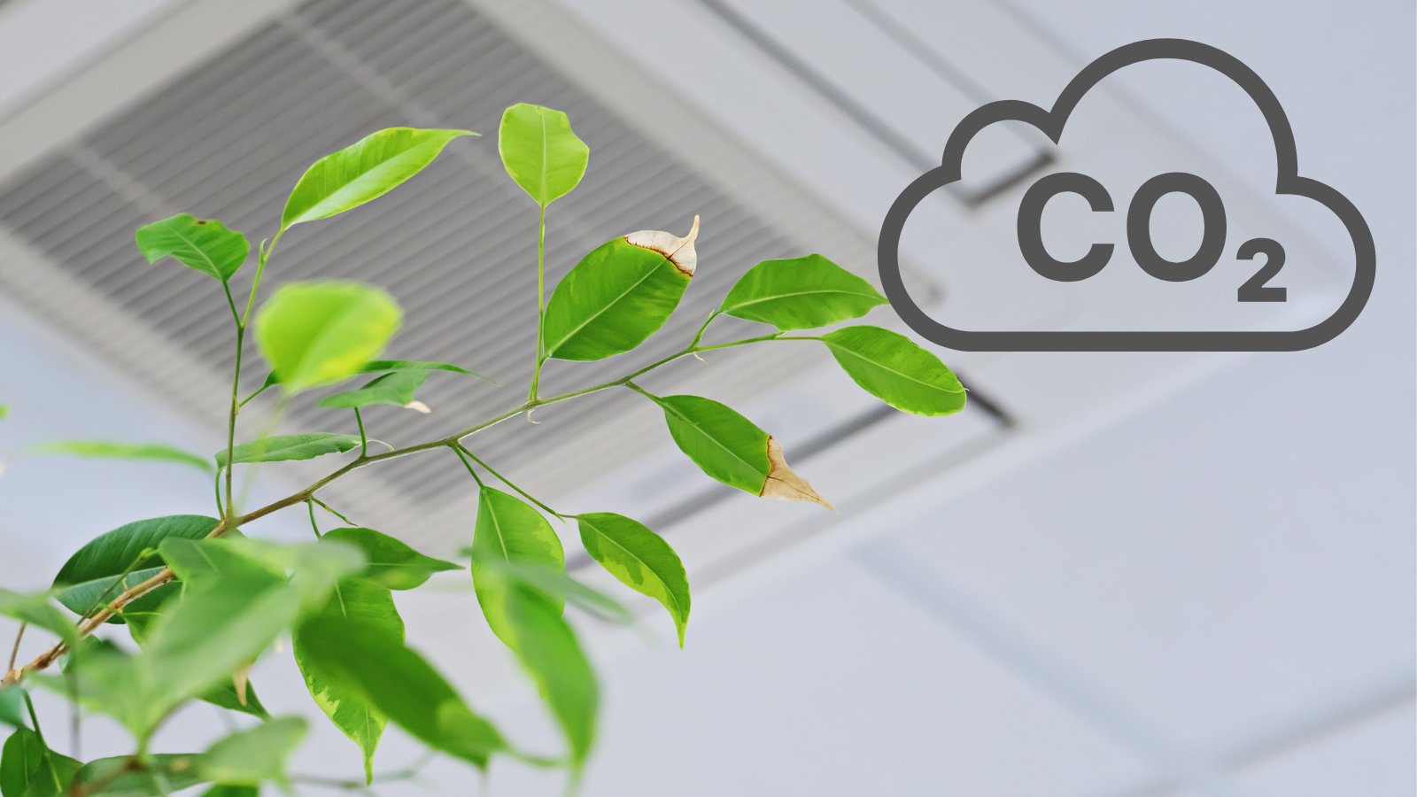 Gaisa kvalitāte tirdzniecības vietās ir labā līmenī