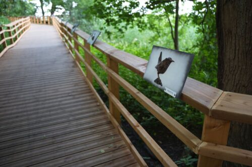 Izbūvēta labiekārtota pastaigu taka gar Juglas ezeru