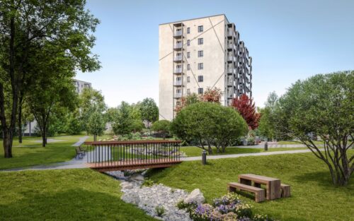 Pirmais gads īres tirgū - 