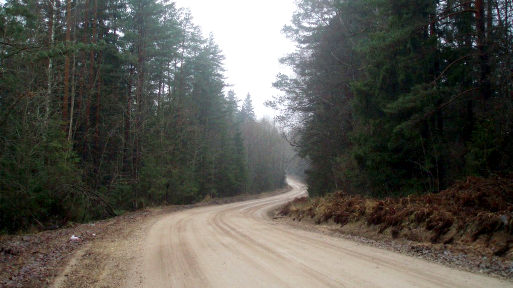 Vienojas par ceļa Rīga–Ērgļi “Lielo Kangaru” posma asfaltēšanu