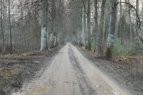 Šogad plāno atjaunot segumu Ložmetējkalna meža autoceļam