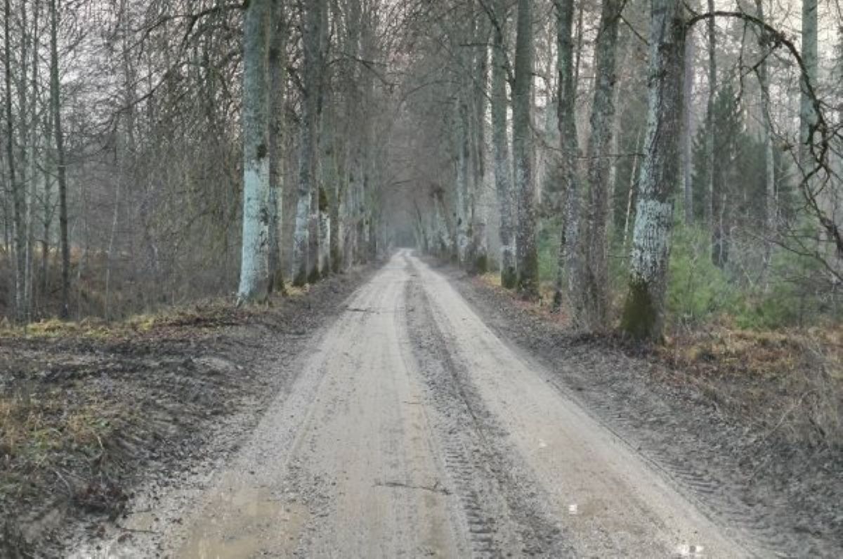 Šogad plāno atjaunot segumu Ložmetējkalna meža autoceļam