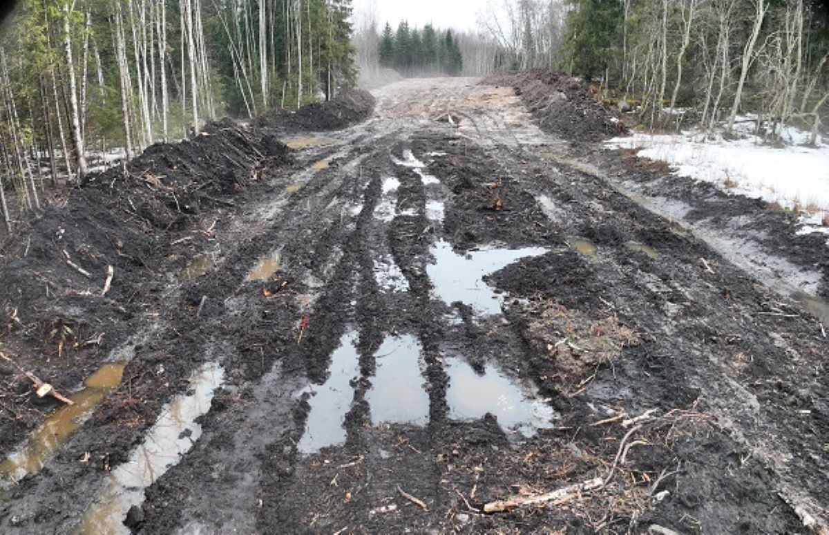 Būvē jaunu meža ceļu ar baļķu klājuma pamatni