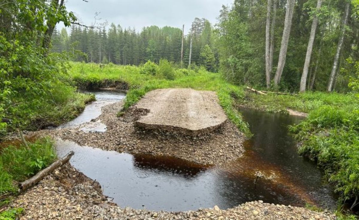 Novērš lietavu radītos izskalojumus meža autoceļos