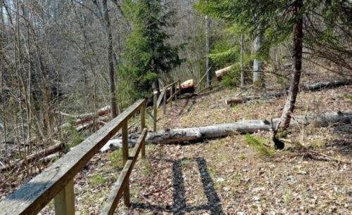 Upursalas dabas takā atjaunos kāpnes, laipas un izbūvēs skatu platformas