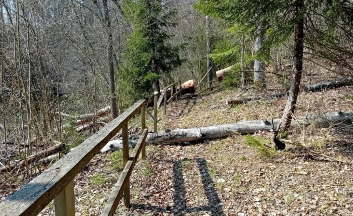 Upursalas dabas takā atjaunos kāpnes, laipas un izbūvēs skatu platformas
