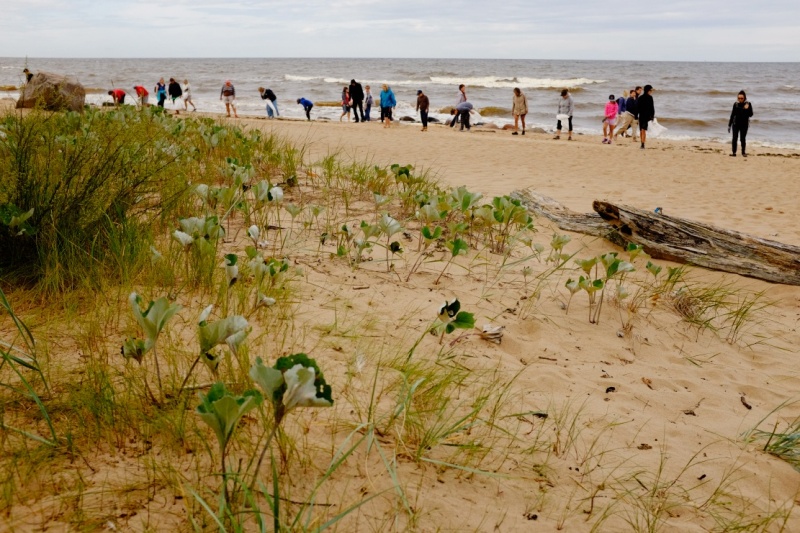 Latvijas piekrastē šopavasar mazāk atkritumu
