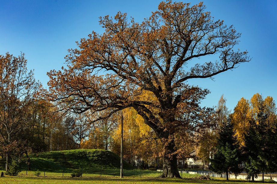 Prasa atcelt izsniegtās būvatļaujas rindu māju būvniecībai Mārupē