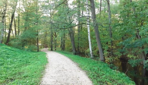 Rīgā sākta vērienīga Mārupītes mežaparka infrastruktūras uzlabošana