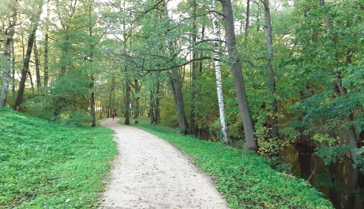 Rīgā sākta vērienīga Mārupītes mežaparka infrastruktūras uzlabošana
