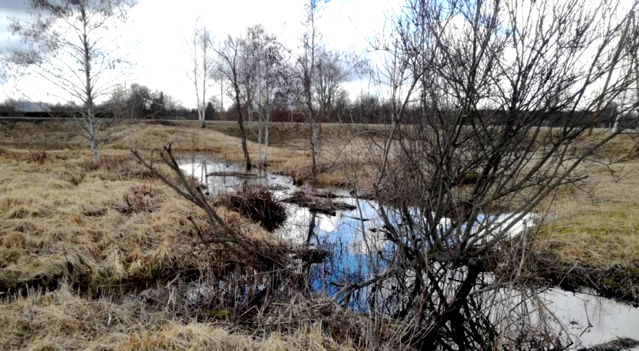 Kalnciemā par 54 263 eiro pārbūvē meliorācijas sistēmu