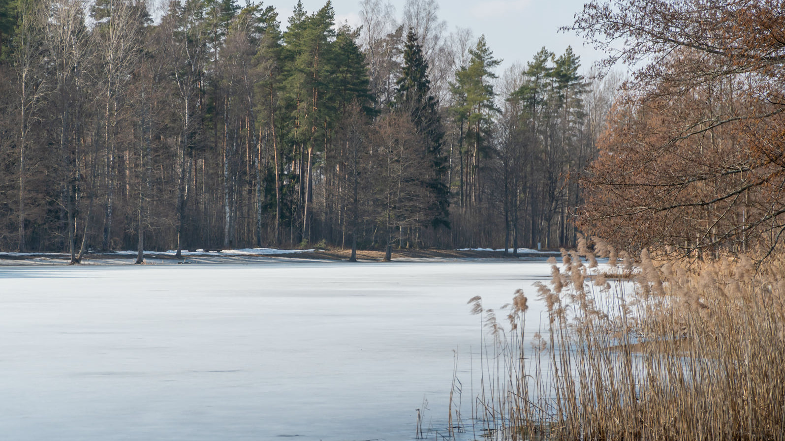 Labiekārtos Mežezera dienvidu krasta pastaigu taku