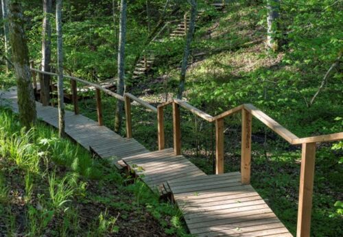 Valsts mežos šogad veikti daudzveidīgi atpūtas vietu labiekārtošanas darbi