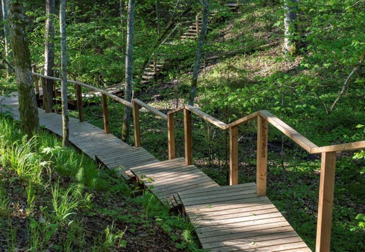 Valsts mežos šogad veikti daudzveidīgi atpūtas vietu labiekārtošanas darbi