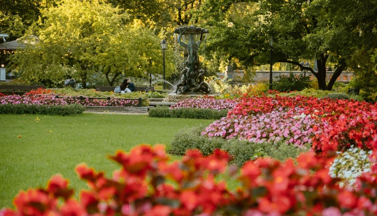 Atjaunos rotaļu laukumu pie Bastejkalna un vairākus celiņus Rīgas skvēros