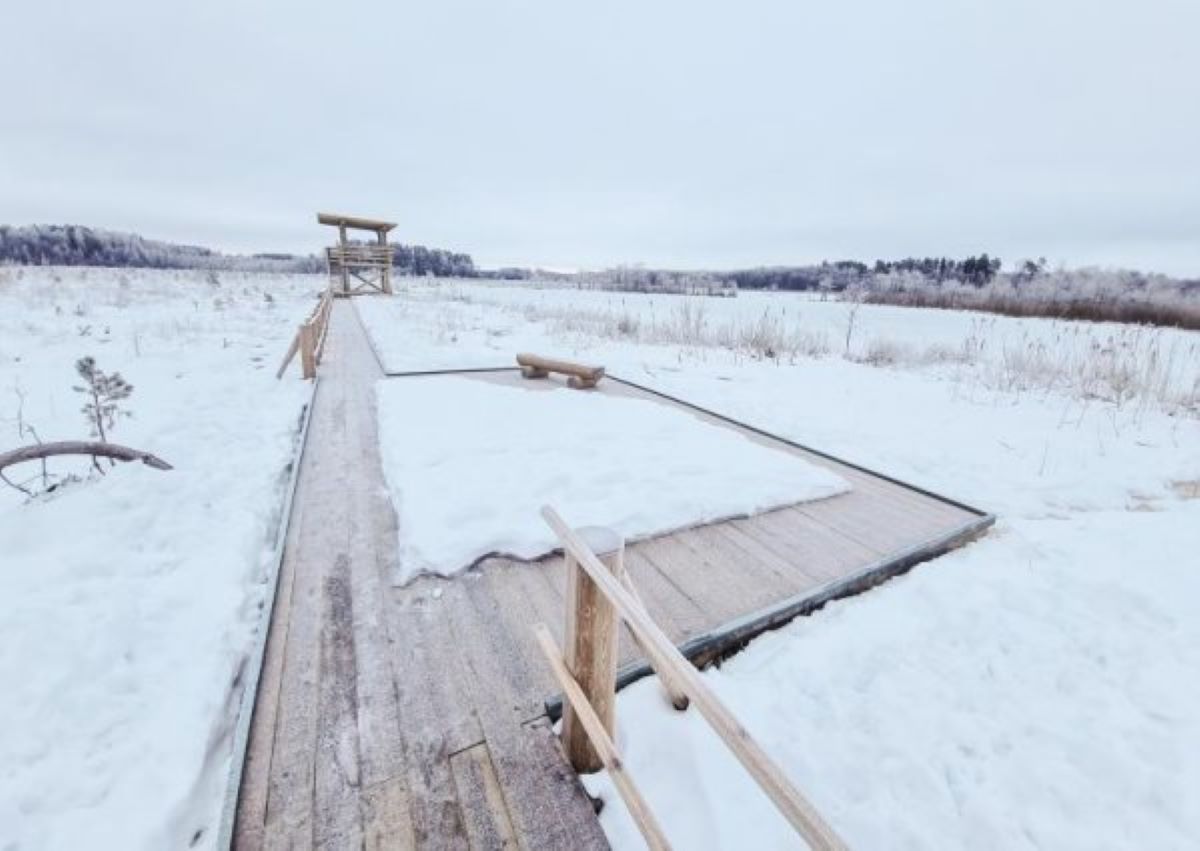 Izveidota taka un uzbūvēta skatu platforma Pelēču ezera purvā
