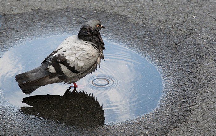 Rīgā atsūknē ūdens peļķes