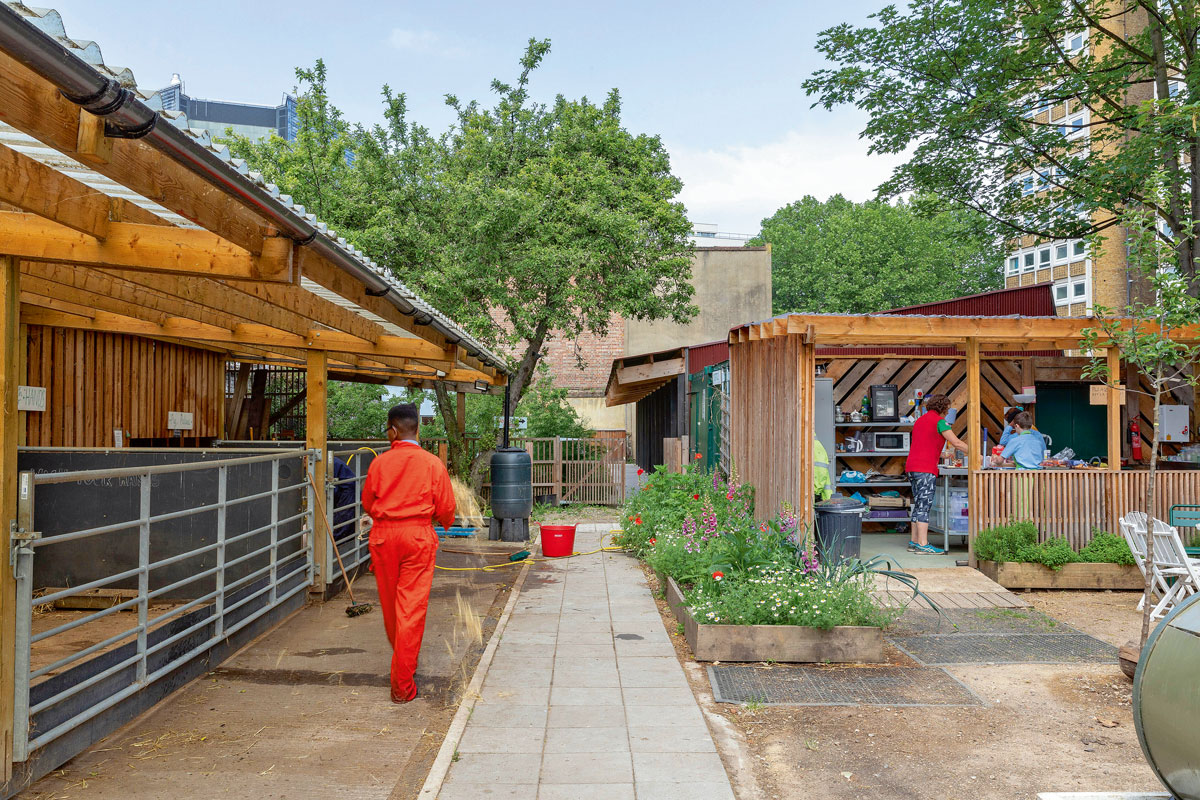 Urbānie dārzi no koka