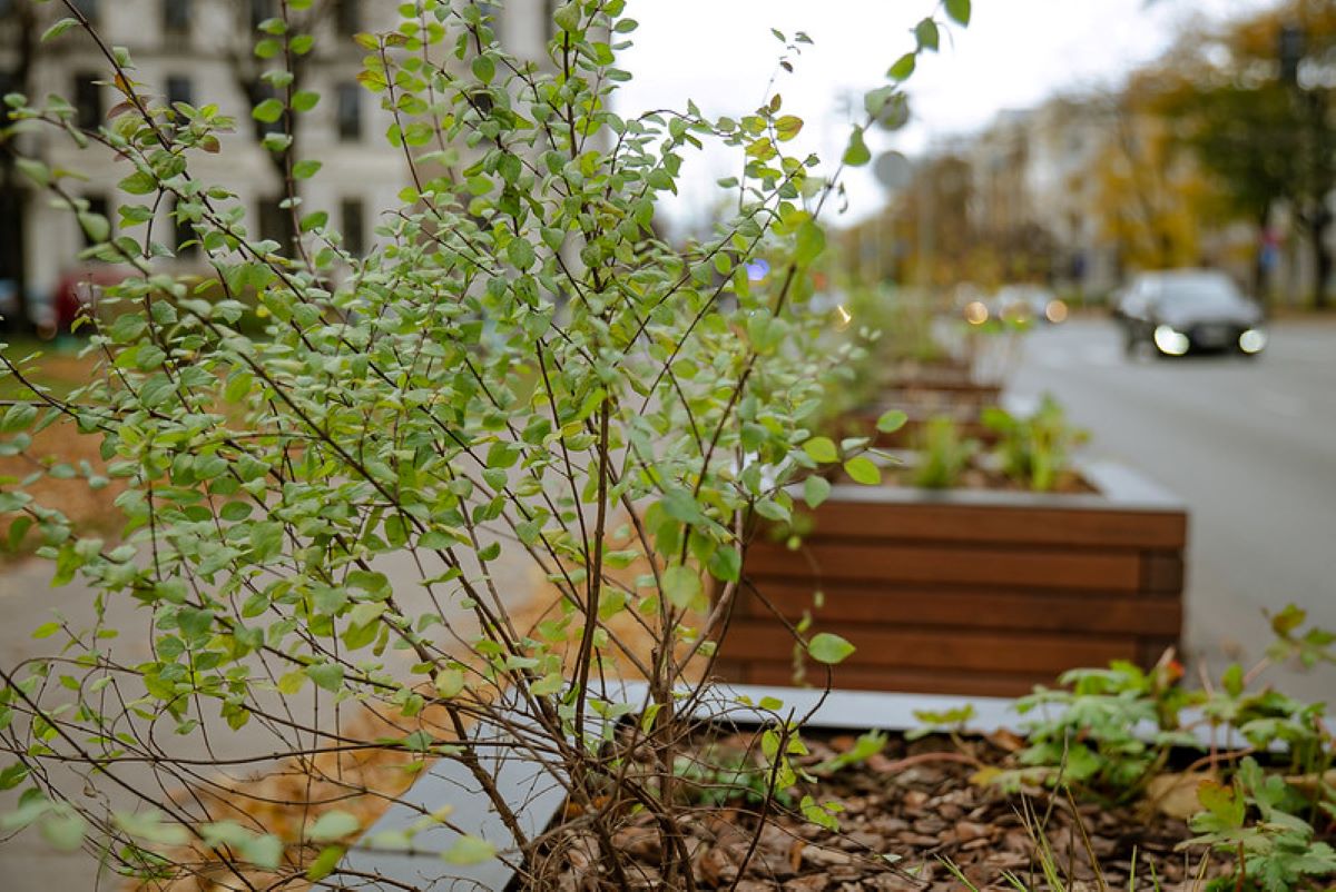 Noslēgušies labiekārtošanas darbi Rīgas centra ielu posmos