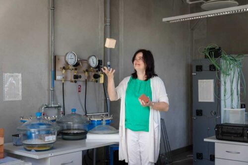 Interneta rīks palīdzēs siltināt vēsturiskās ēkas