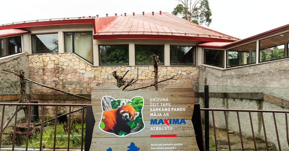 Rīgas Nacionālajā zooloģiskajā dārzā sākušies Sarkano pandu mājas būvdarbi