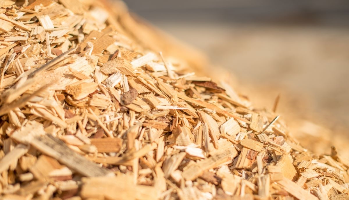 Piešķirts finansējums biokurināmā katlumājas būvniecībai Rēzeknē