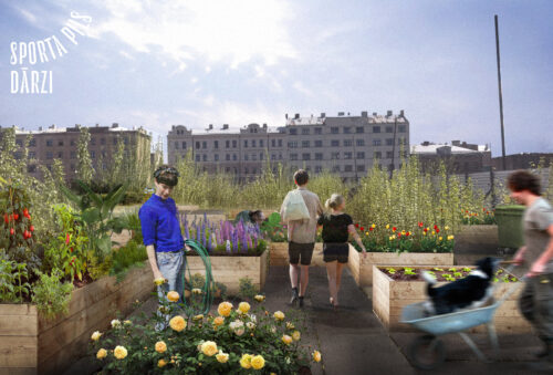 Iedzīvotājiem liela interese par mazdārziņu ierīkošanu bijušās Rīgas Sporta pils teritorijā