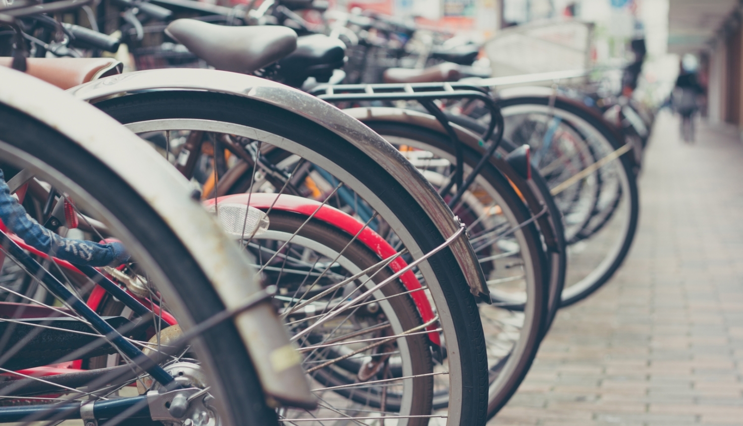 Plāno sākt veloceļa Centrs–Ziepniekkalns būvniecību