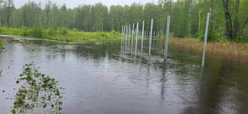 Laikapstākļu dēļ kavējas robežas izbūve uz Latvijas austrumu robežas