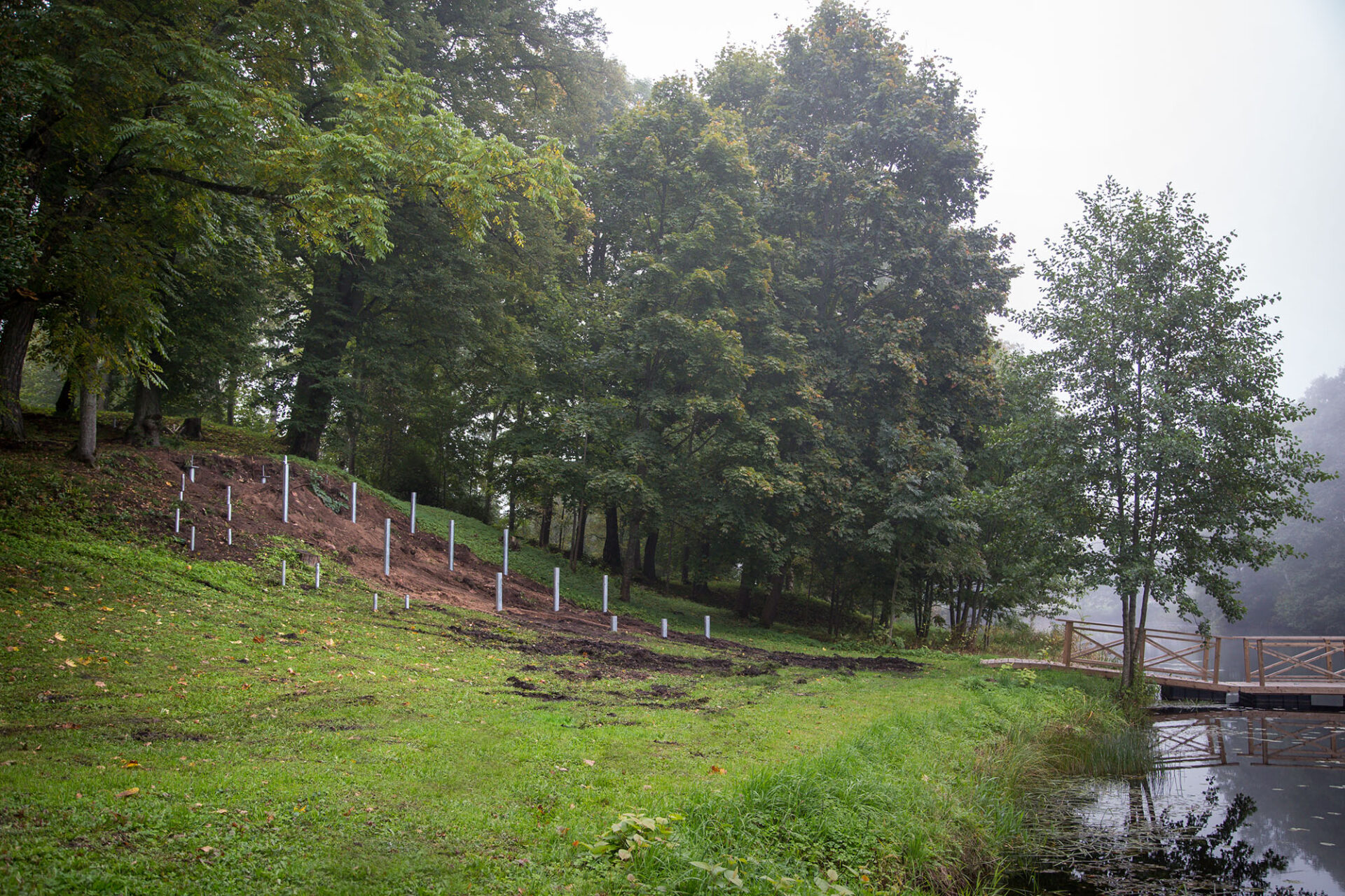 Zasas muižas parkā top skatu platforma