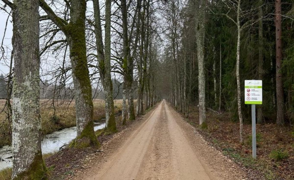 Noslēgušies meža autoceļa “Ložmetējkalna ceļš” atjaunošanas darbi