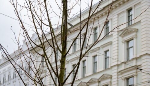 Rīgas ielās šoruden stāda simtiem koku