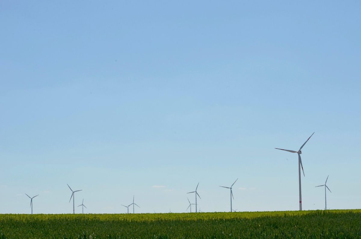 Cēsu novadā plāno attīstīt vēja parku “Vidzeme”