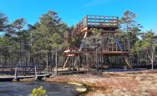 Uzbūvēta jauna skatu platforma Niedrāju-Pilkas purvā