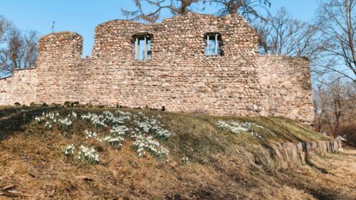 Šogad paredzēts veikt Valmieras pilsdrupu mūru konservāciju